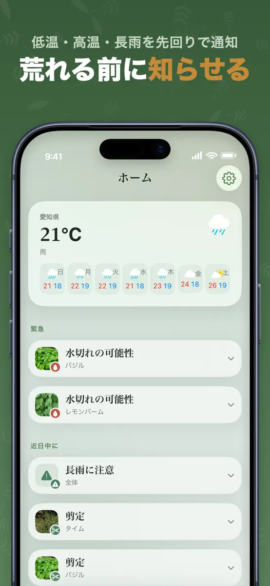 ドットハーブのハーブ図鑑画面